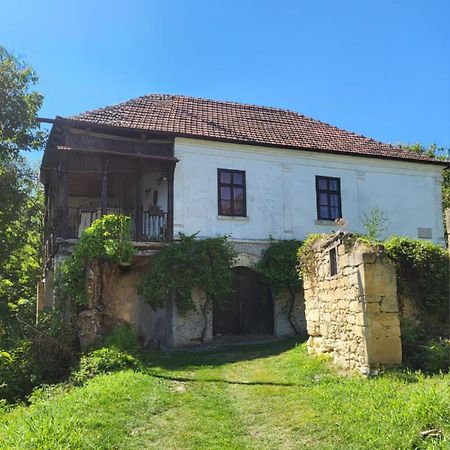 Country House Pivnica Milic Rogljevo Apartamento Exterior foto