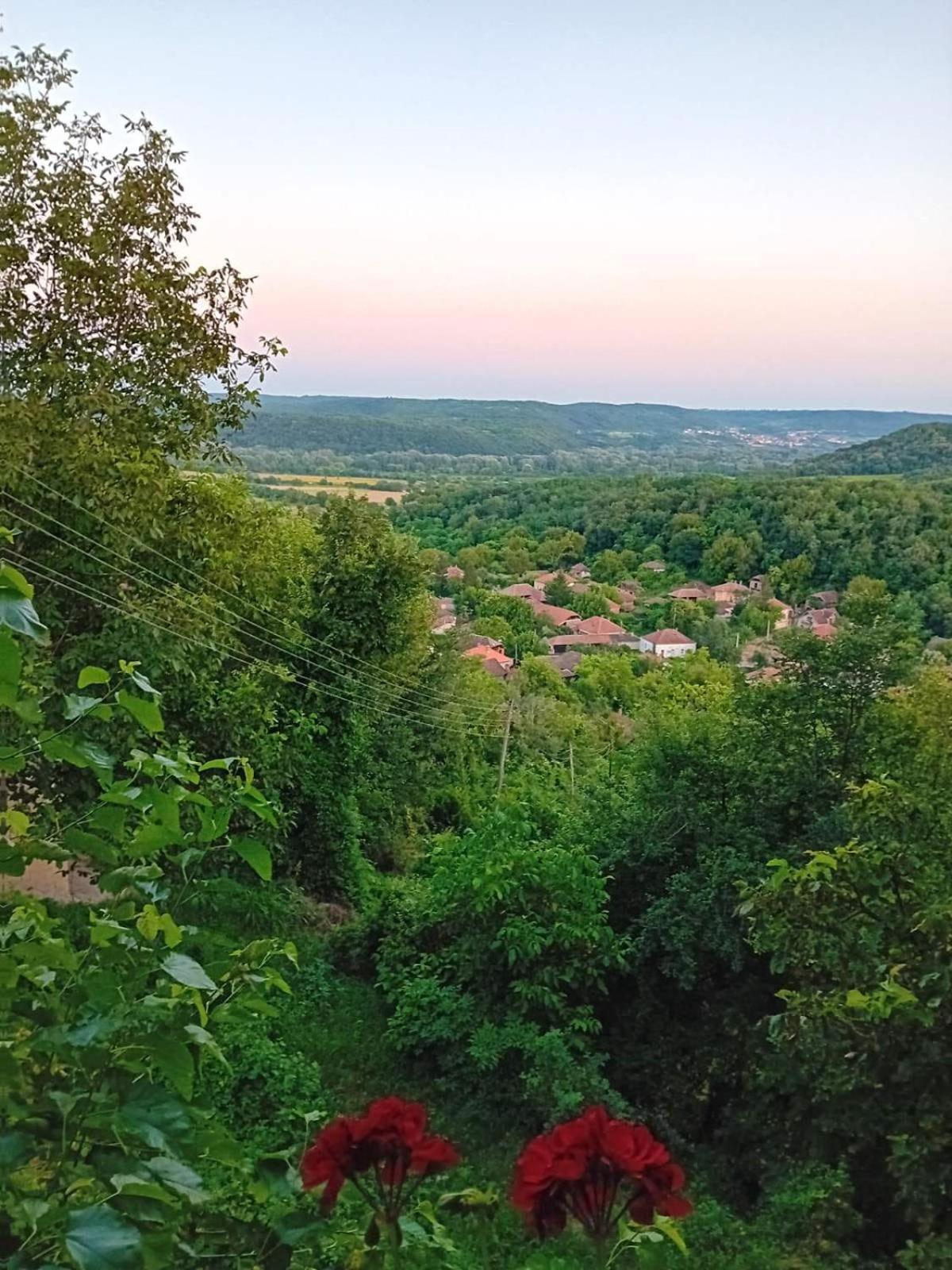 Country House Pivnica Milic Rogljevo Apartamento Exterior foto
